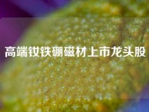 高端钕铁硼磁材上市龙头股