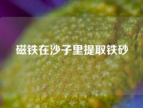 磁铁在沙子里提取铁砂