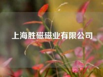 上海胜磁磁业有限公司