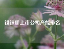 钕铁硼上市公司产能排名