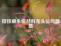 钕铁硼永磁材料龙头公司股票