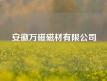 安徽万磁磁材有限公司