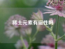 稀土元素有磁性吗