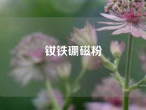 钕铁硼磁粉