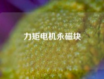 力矩电机永磁块