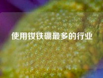 使用钕铁硼最多的行业