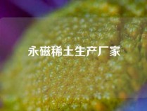 永磁稀土生产厂家