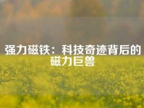 强力磁铁：科技奇迹背后的磁力巨兽