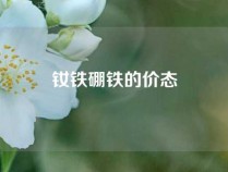 钕铁硼铁的价态