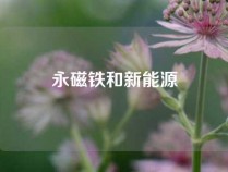 永磁铁和新能源