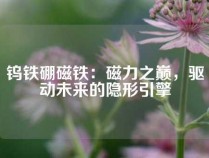 钨铁硼磁铁：磁力之巅，驱动未来的隐形引擎