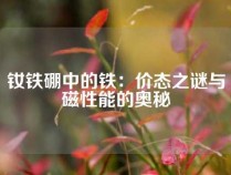 钕铁硼中的铁：价态之谜与磁性能的奥秘