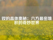 钕的晶体奥秘：六方最密堆积的奇妙世界