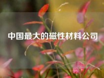 中国最大的磁性材料公司