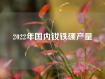 2022年国内钕铁硼产量