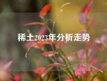 稀土2023年分析走势