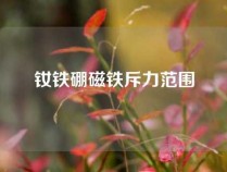 钕铁硼磁铁斥力范围