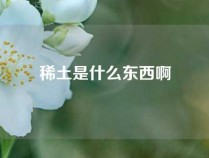 稀土是什么东西啊