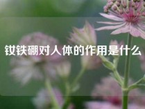 钕铁硼对人体的作用是什么