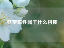 铁带磁性属于什么材质