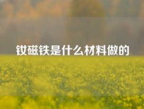 钕磁铁是什么材料做的