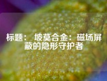 标题： 坡莫合金：磁场屏蔽的隐形守护者