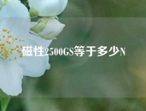 磁性2500GS等于多少N