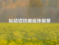 粘结钕铁硼磁体前景