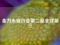 金力永磁行业第二是全球第三