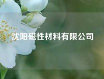 沈阳磁性材料有限公司