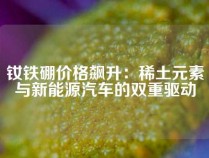 钕铁硼价格飙升：稀土元素与新能源汽车的双重驱动