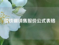 钕铁硼销售报价公式表格