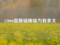 12000高斯磁棒吸力有多大