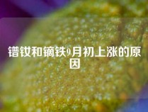 镨钕和镝铁9月初上涨的原因