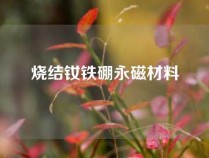 烧结钕铁硼永磁材料