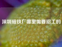 深圳磁铁厂哪里需要招工的