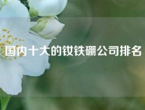 国内十大的钕铁硼公司排名