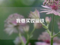 我要买钕磁铁