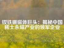 钕铁硼磁体巨头：揭秘中国稀土永磁产业的领军企业