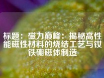 标题：磁力巅峰：揭秘高性能磁性材料的烧结工艺与钕铁硼磁体制造