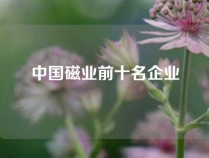 中国磁业前十名企业