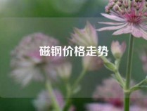 磁钢价格走势