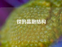 钕的晶胞结构