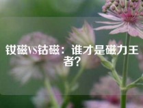 钕磁VS钴磁：谁才是磁力王者？