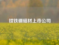 钕铁硼磁材上市公司