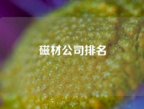 磁材公司排名