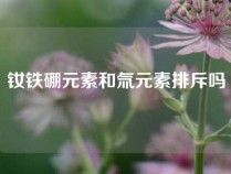 钕铁硼元素和氚元素排斥吗