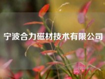 宁波合力磁材技术有限公司