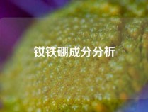 钕铁硼成分分析