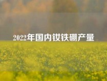 2022年国内钕铁硼产量